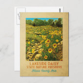 Ohio Lakeside Daisy Preserve Postkarte (Vorne/Hinten)