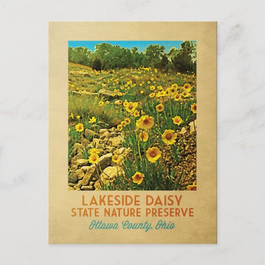 Ohio Lakeside Daisy Preserve Postkarte (Vorderseite)