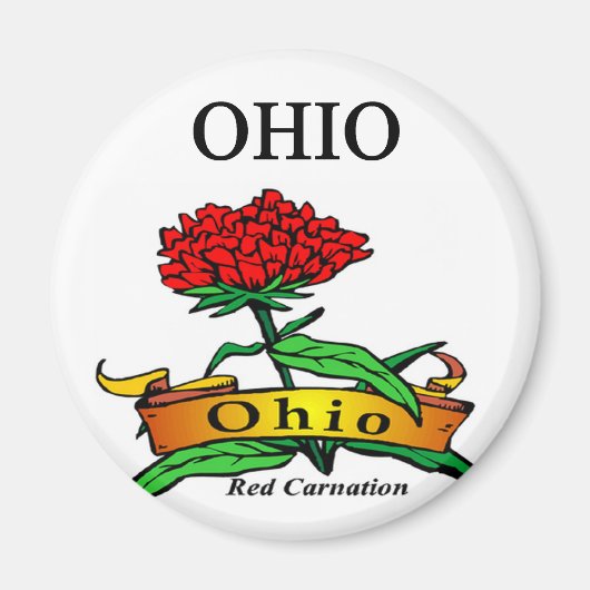Ohio Magnet (Vorne)
