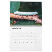 Ohio Outdoor Raupen Kalender 2. Ed (Feb 2026)