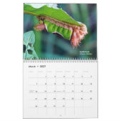 Ohio Outdoor Raupen Kalender 2. Ed (Mär 2027)