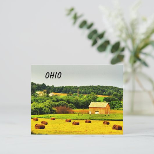 OHIO Postkarte (Stehend Vorderseite)