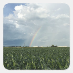 Ohio Rainbow Over Cornfield Quadratischer Aufkleber