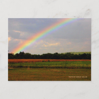 Ohio Rainbow Postkarte