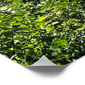 Ohio River Poster (Ecke)