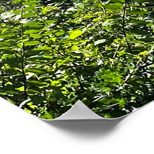 Ohio River Poster (Ecke)