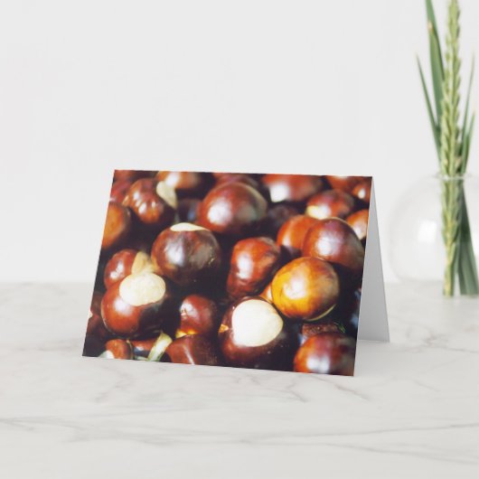 Ohio-Rosskastanien Karte (Vorderseite)