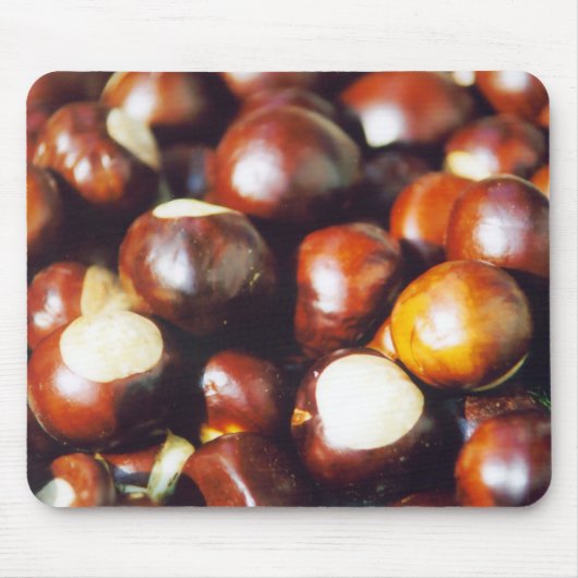 Ohio-Rosskastanien Mousepad (Vorne)