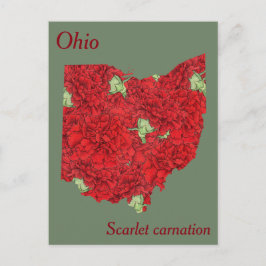 Ohio Staat Blume Collage Map Postkarte