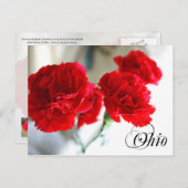 Ohio Staat Blume: Rote Narbe Postkarte (Vorne/Hinten)