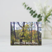 Ohio the Beautiful, 25 Postkarte (Stehend Vorderseite)