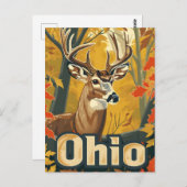 Ohio Weißschwanzhirsche Postkarte (Vorne/Hinten)