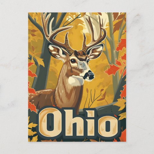 Ohio Weißschwanzhirsche Postkarte (Vorderseite)