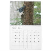 Ohio Wild Birds Kalender (Feb 2026)