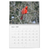 Ohio Wild Birds Kalender (Mär 2027)