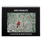 OHIO-WILD LEBENDE TIERE CALENDAR-A KALENDER (Titelbild)