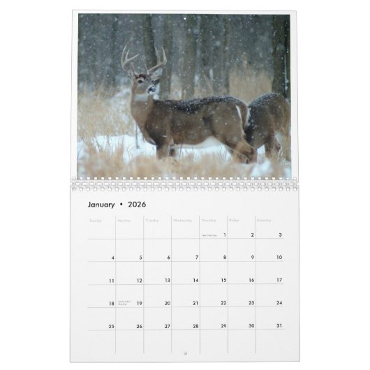 OHIO-WILD LEBENDE TIERE CALENDAR-A KALENDER (Jan 2026)