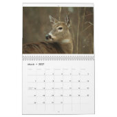 OHIO-WILD LEBENDE TIERE CALENDAR-A KALENDER (Mär 2027)