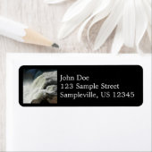 Ohiopyle Falls in Pennsylvania (Insitu)