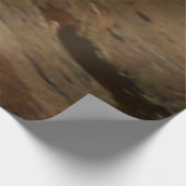 Ohiopyle Falls in Pennsylvania Holzposter (Ecke)