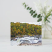 Ohiopyle Falls, Pennsylvania Postkarte (Stehend Vorderseite)