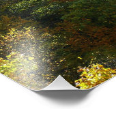 Ohiopyle Fluss im Herbst II Pennsylvania Herbst Fotodruck (Ecke)