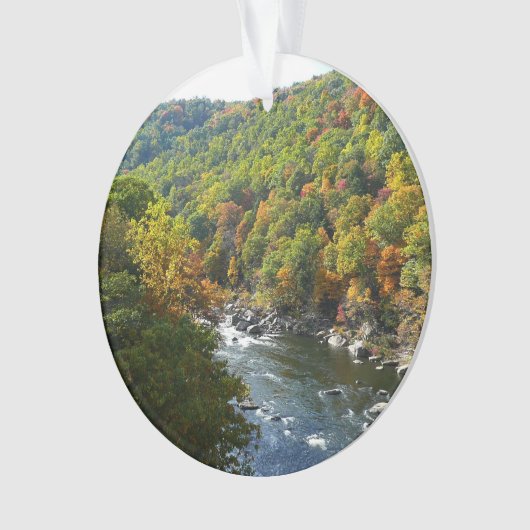 Ohiopyle Fluss im Herbst II Pennsylvania Herbst Ornament (Vorderseite)