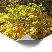 Ohiopyle Fluss im Herbst II Pennsylvania Herbst Poster (Ecke)