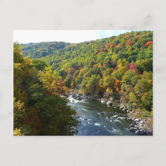 Ohiopyle Fluss im Herbst II Pennsylvania Herbst Postkarte (Vorderseite)