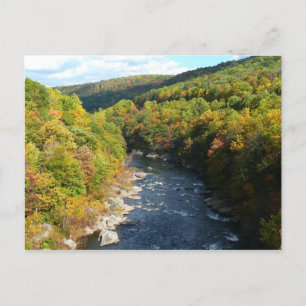 Ohiopyle River im Herbst I Pennsylvania Herbst Postkarte