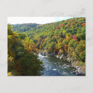 Ohiopyle River im Herbst II Pennsylvania Herbst Postkarte