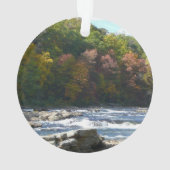 Ohiopyle River Rapids in Herbst Pennsylvania Herbs Ornament (Rückseite)