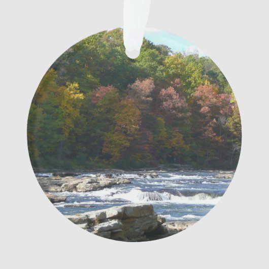 Ohiopyle River Rapids in Herbst Pennsylvania Herbs Ornament (Vorderseite)
