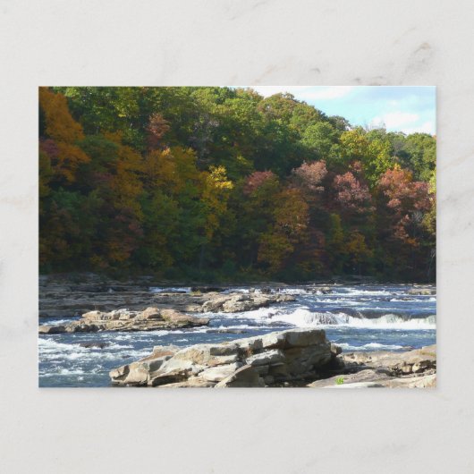 Ohiopyle River Rapids in Herbst Pennsylvania Herbs Postkarte (Vorderseite)