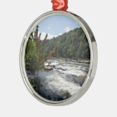 Ohiopyle Staats-Park Silbernes Ornament (Links)