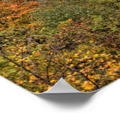 Ohiopyle Valley Aussicht im Herbst, Pennsylvania Poster (Ecke)