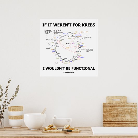 Ohne Krebs wäre ich nicht funktionell Poster (Küche)