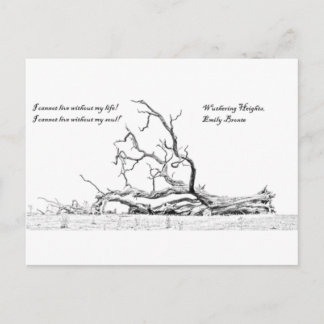 Ohne mein Soul kann ich nicht in Höhen leben Postkarte