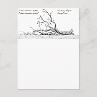 Ohne mein Soul kann ich nicht in Höhen leben Postkarte