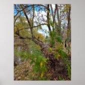 Ohne Musik Poster (Vorne)