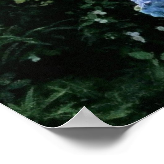 Ohne Rosy-Biss Poster (Ecke)