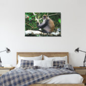 Ohr Tagged Samango Monkey Leinwanddruck (Insitu (Schlafzimmer))