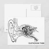Ohrdiagramm Postkarte (Vorne/Hinten)