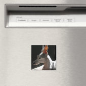 Ohren hoch, Foto! Magnet (In Situ (Geschirrspüler))