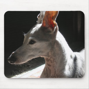 Ohren hoch, Foto! Mousepad