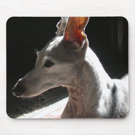 Ohren hoch, Foto! Mousepad (Vorne)