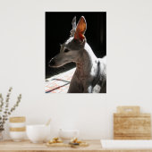 Ohren hoch, Foto! Poster (Küche)
