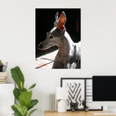 Ohren hoch, Foto! Poster (Heimbüro)