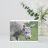 Ohren in Bewegung Postkarte (Stehend Vorderseite)