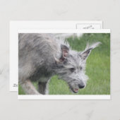 Ohren in Bewegung Postkarte (Vorne/Hinten)